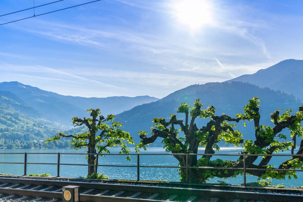 Ski-N-Lake City Apartments Zell am See Oda fotoğraf